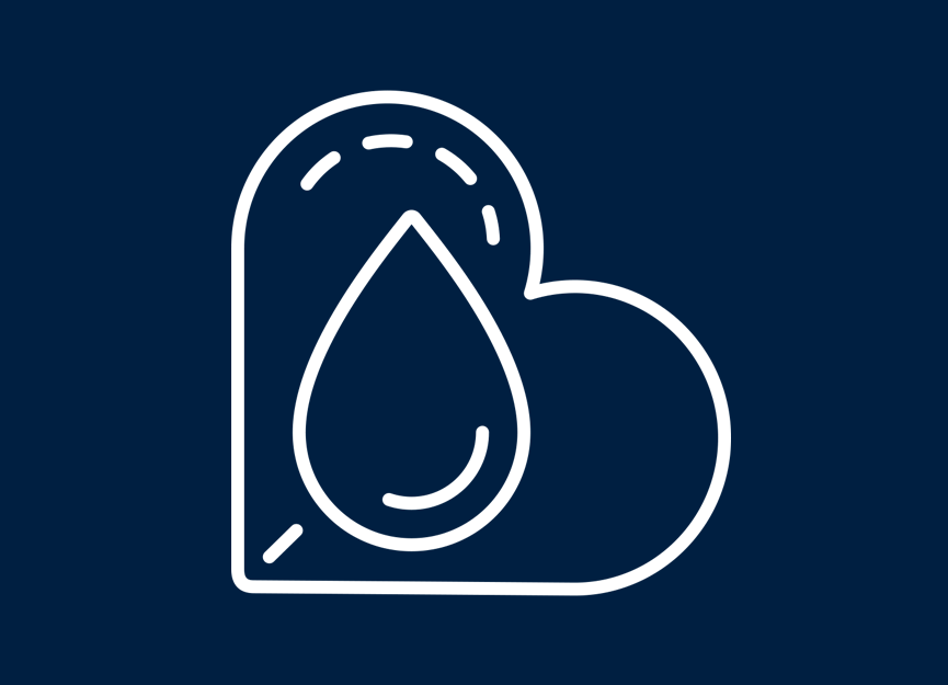 Diabetes Research Program