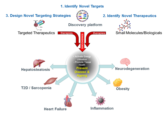 Molecular Metabolism and Ageing laboratory